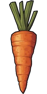 Carrot