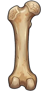 Dragon Bone