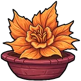 Dragonflower