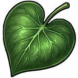 Heartleaf