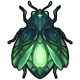 Lanternbug
