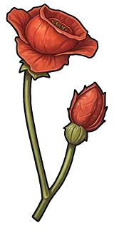 Poppy