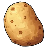 Potato
