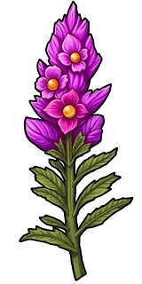 Snapdragon