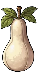 Snow Pear