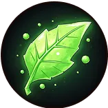 Photosynthesis