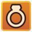 Type Accessory