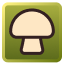 Type Fungus