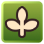 Type Plant